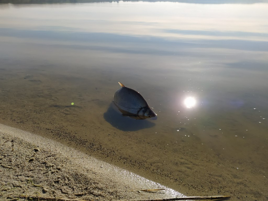 105.jpg